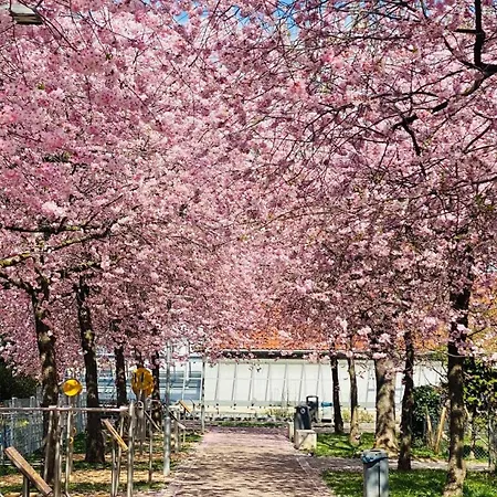 Vollausgestattete Apartment Fellbach