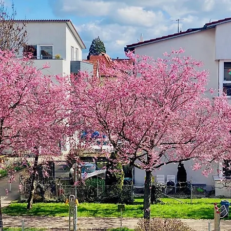 Apartment Vollausgestattete