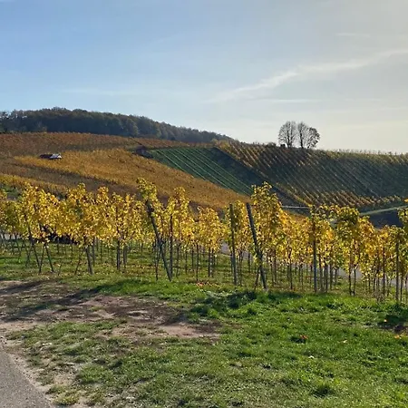 Apartment Vollausgestattete